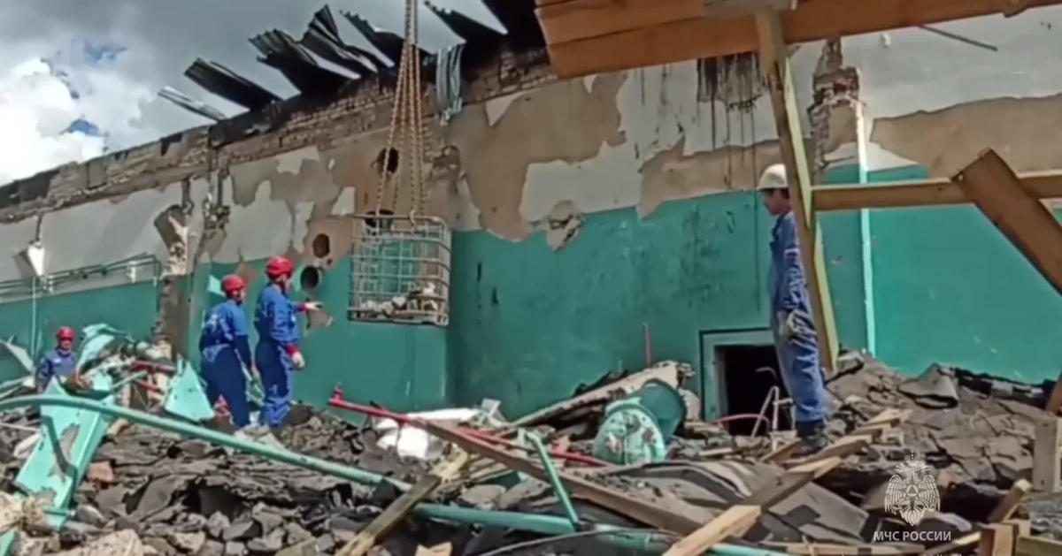 Обложка © Telegram / МЧС по Рязанской области