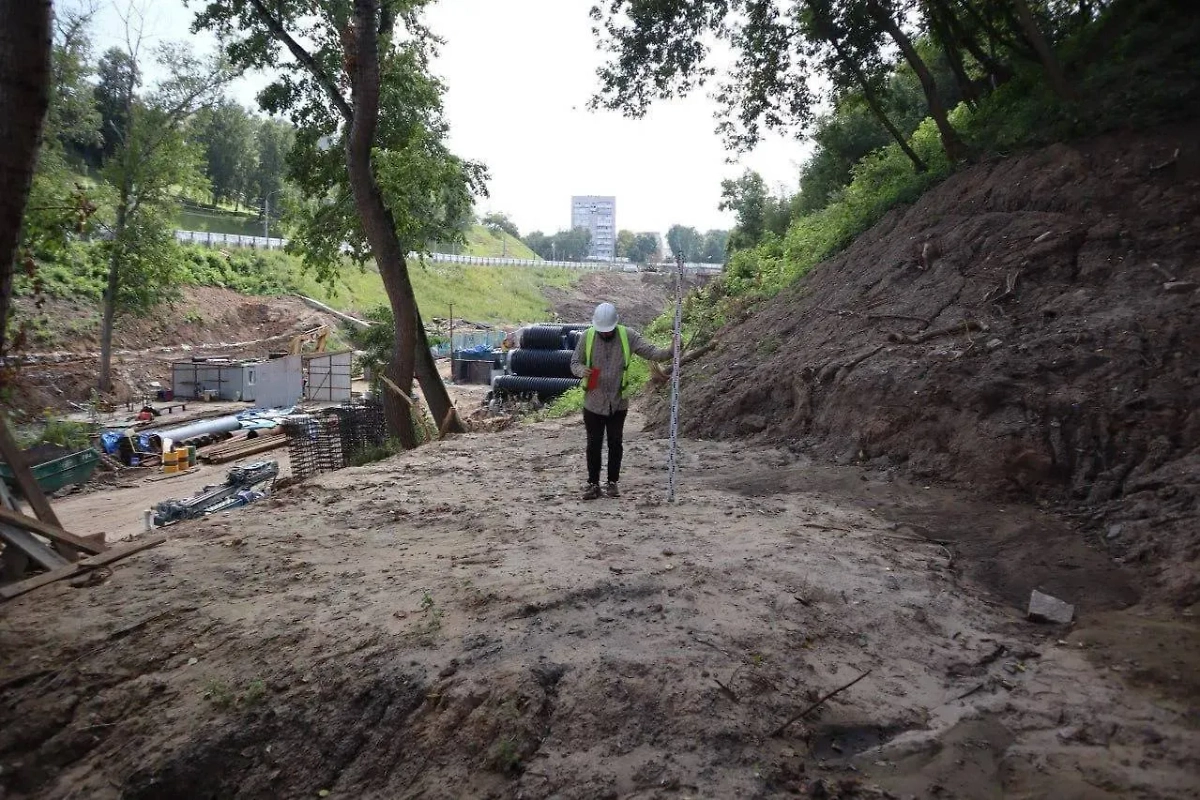 В Нижнем Новгороде в центре города обнаружили зуб мамонта. Обложка © Telegram/Глеб Никитин