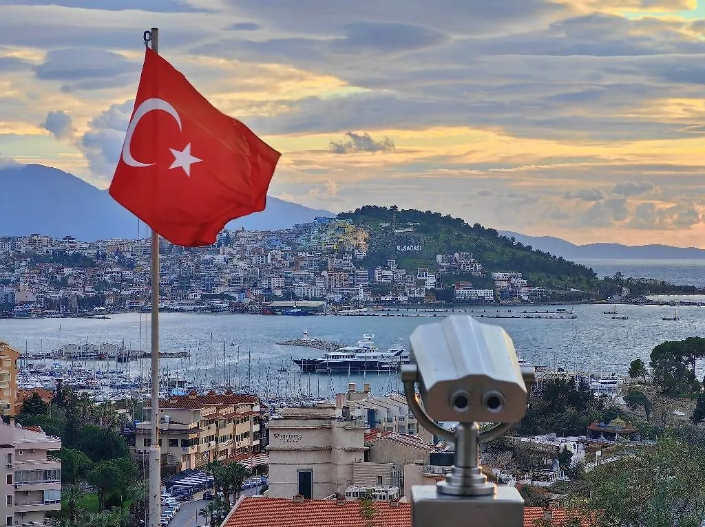 Обложка © Shutterstock / FOTODOM / Konstantin_AK