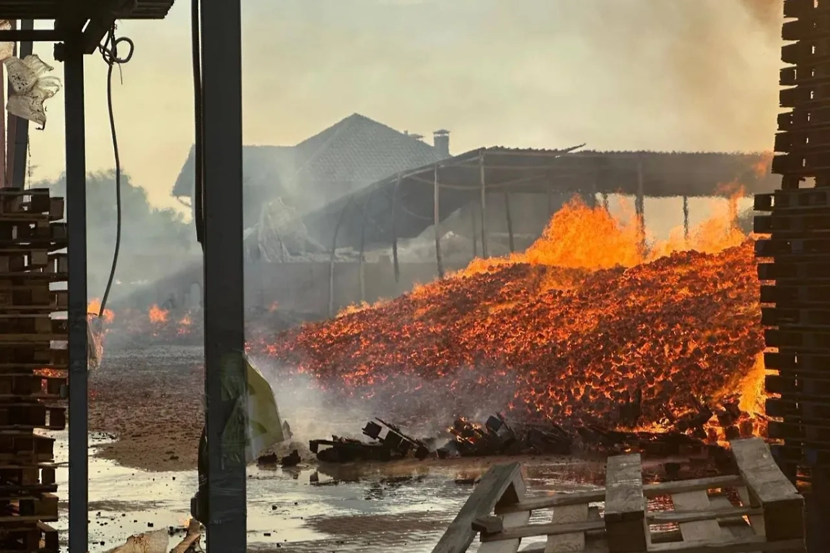 Российские дроноводы уничтожили завод «Стальканат», где засели военкомы ВСУ. Фото © Telegram / rybar