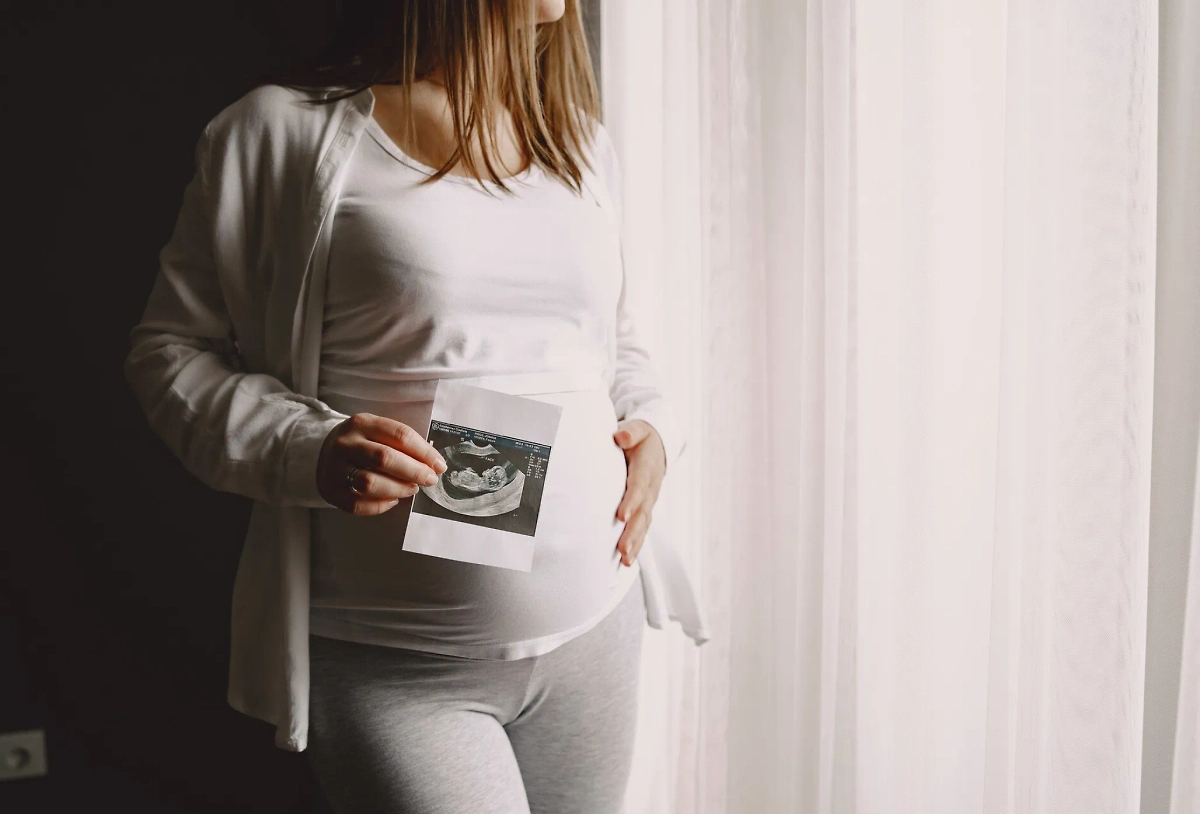 Обложка © freepik / prostooleh