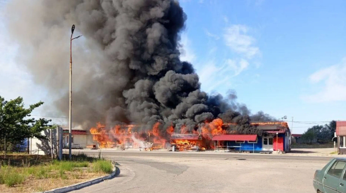 Обложка © Телеграм / Владимир Сальдо