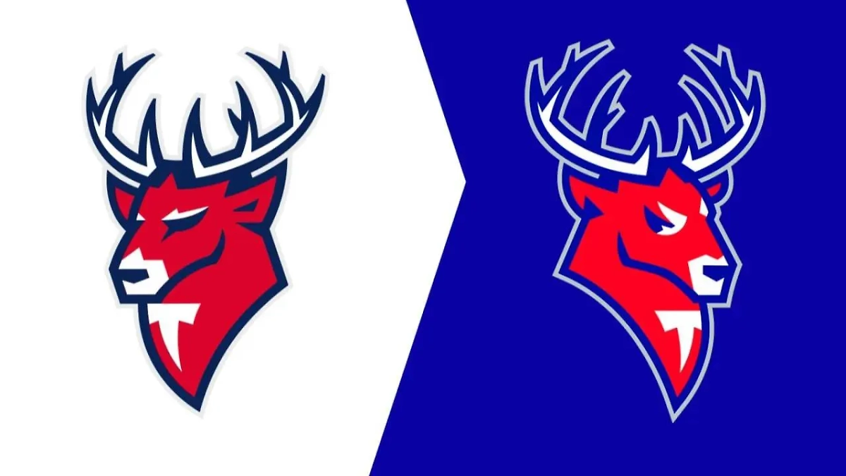 Обложка © ХК «Торпедо»