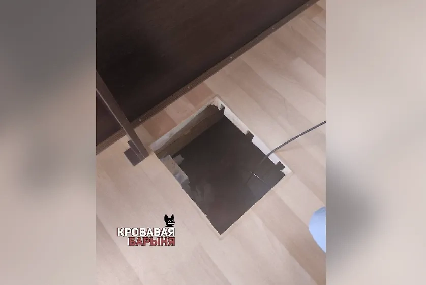 Обложка © «Кровавая барыня»