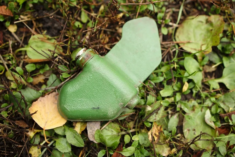 Обложка © Shutterstock / FOTODOM / Dmytro Larin