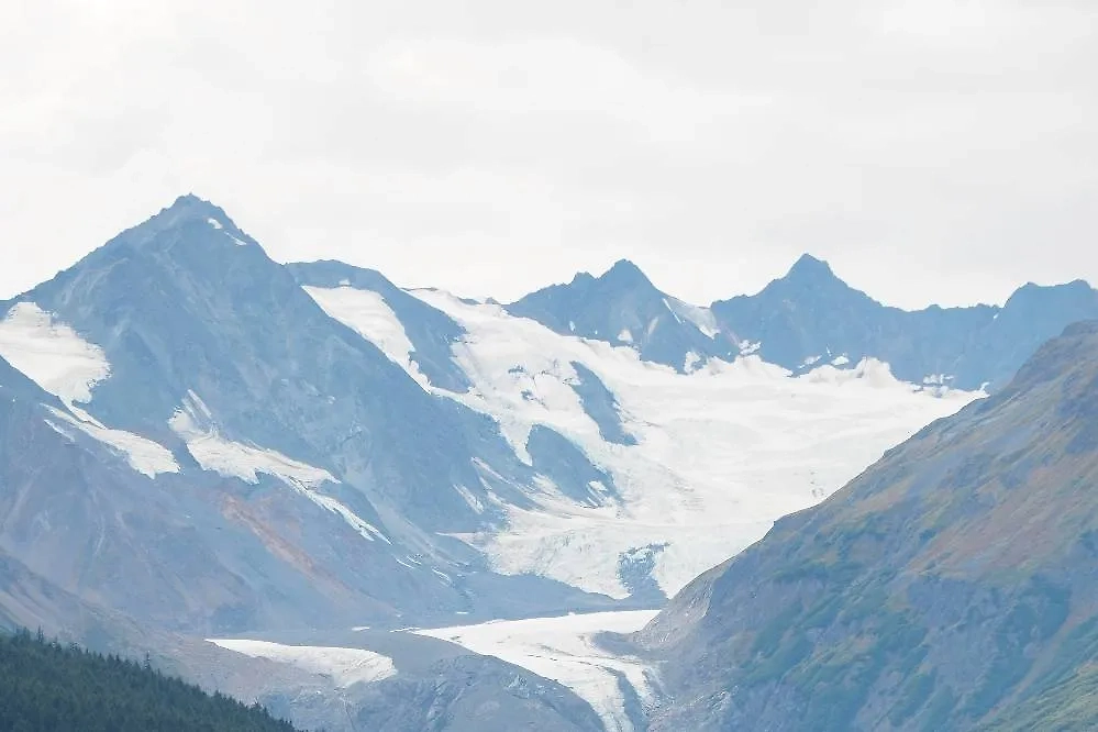 Обложка © freepik / wirestock