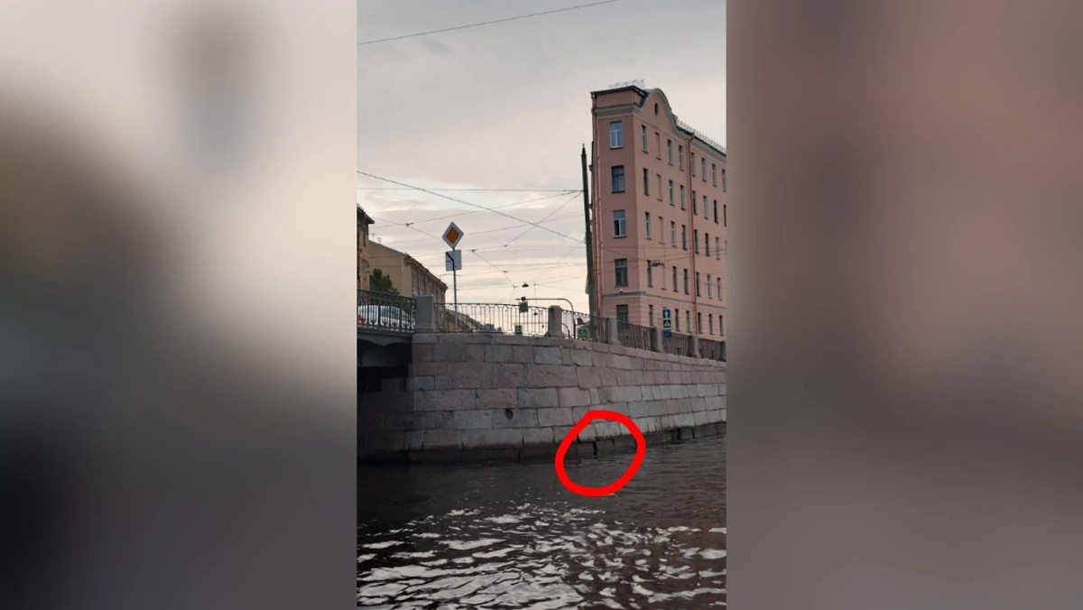 Участок набережной, куда забрался кот. Фото © VK / КОШКИСПАС. Спасение животных