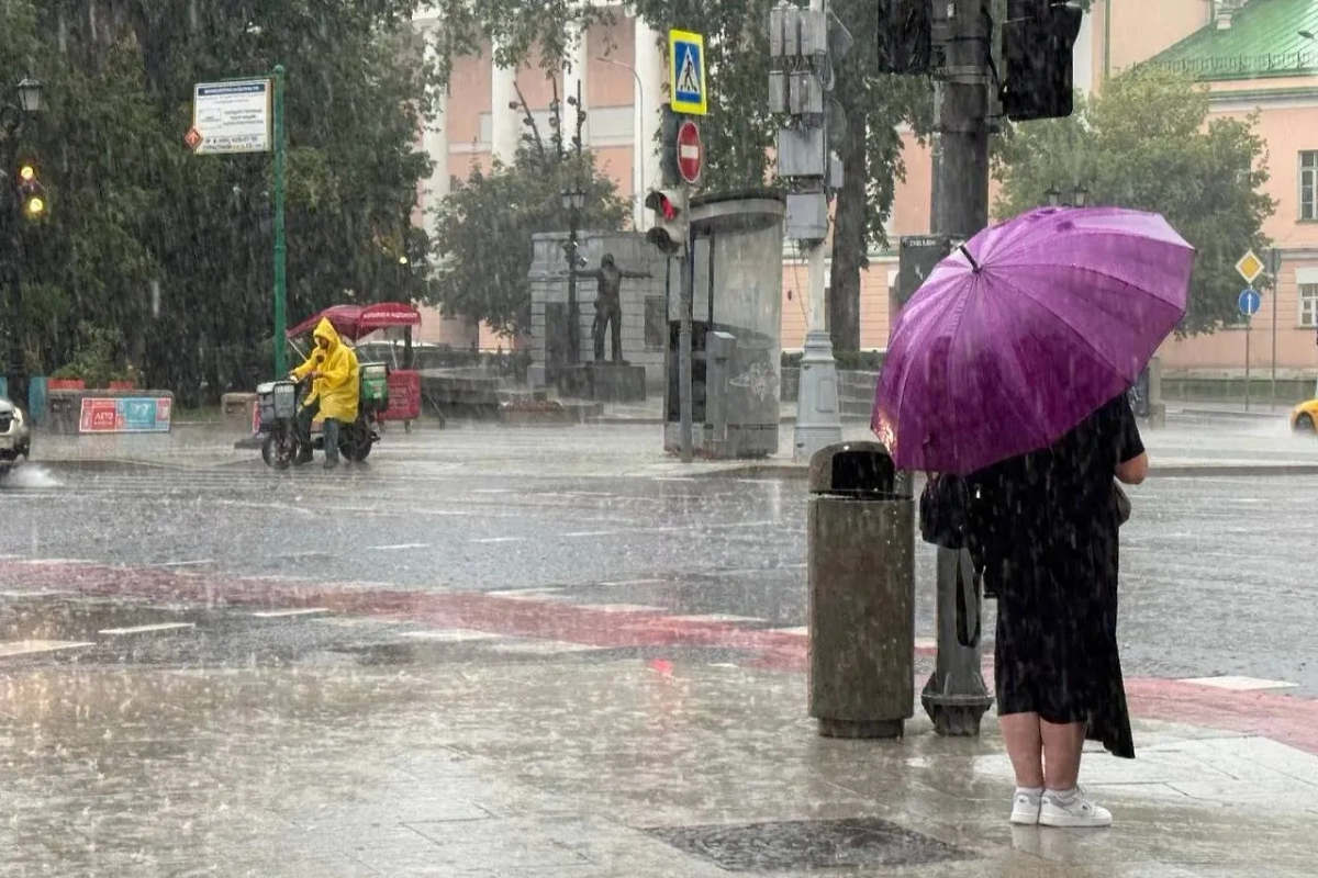 Обложка © Life.ru