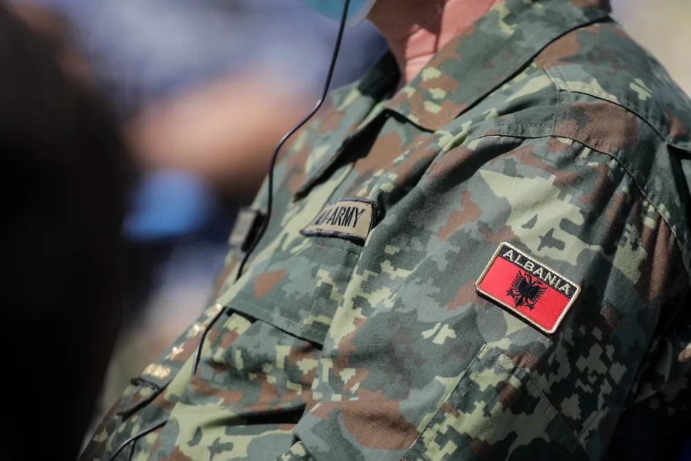 Обложка © Shutterstock / FOTODOM / Mircea Moira