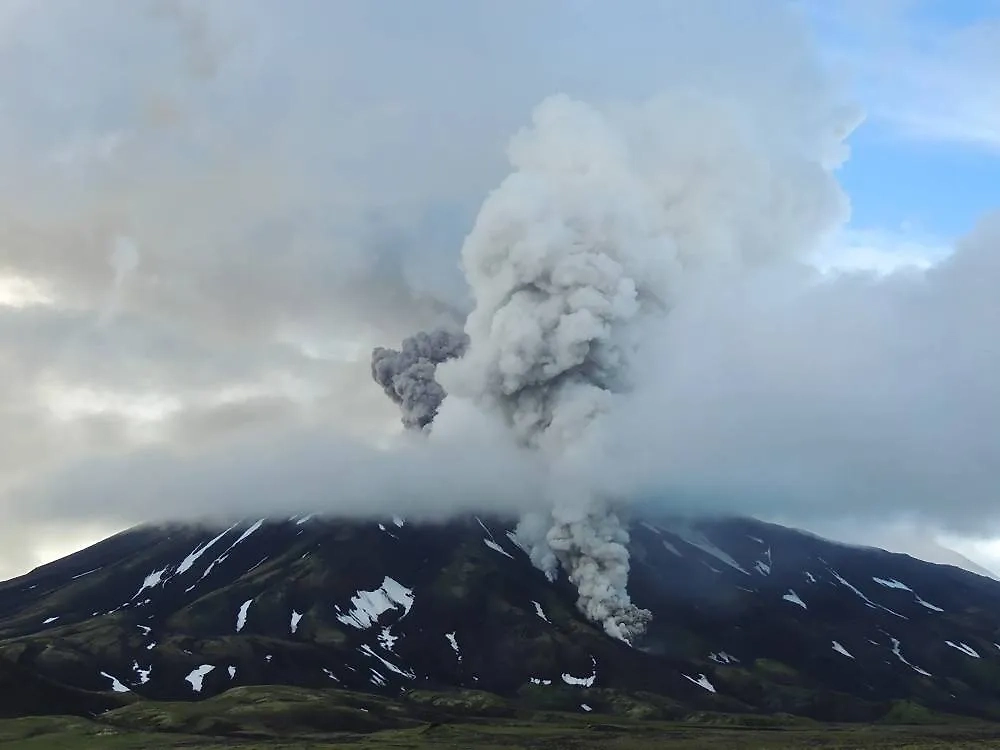 Обложка © ТАСС / Наталья Акбирова