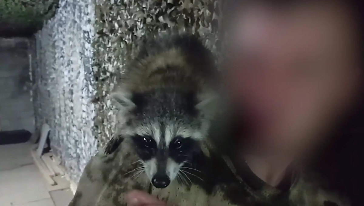 Обложка © Предоставлена Life.ru волонтёрами движения «Народный фронт»