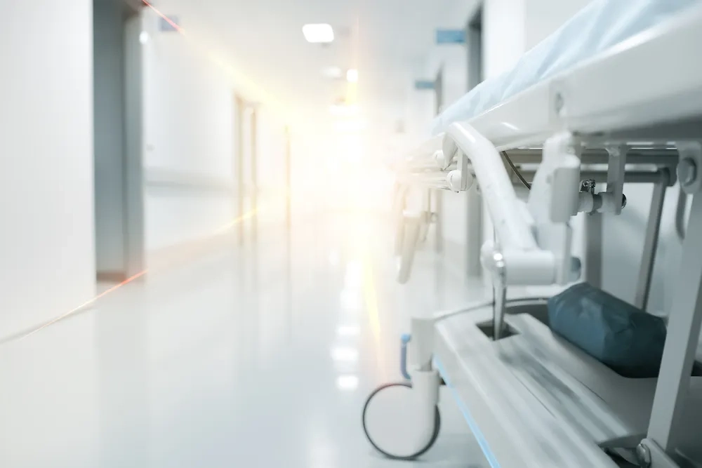 Обложка © Shutterstock / FOTODOM / sfam_photo