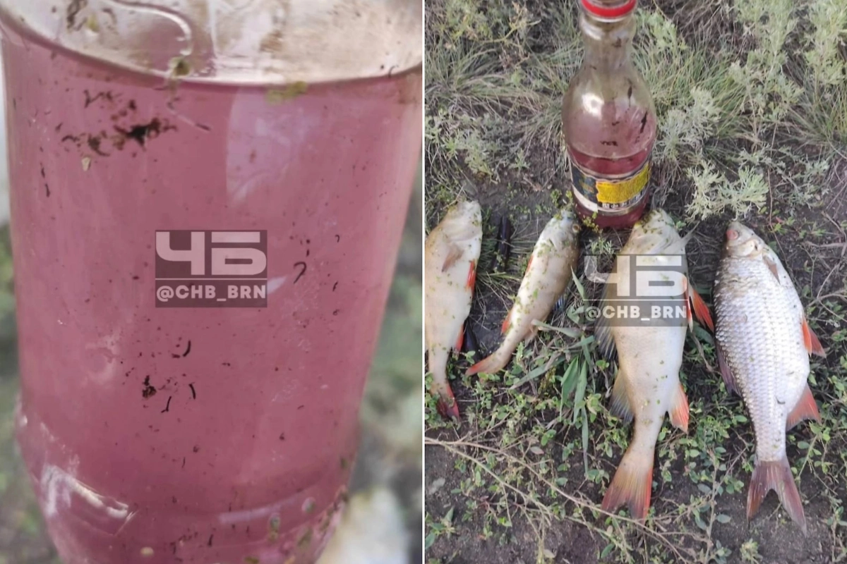 Обложка © VK / «Чёрное и Белое Барнаул»