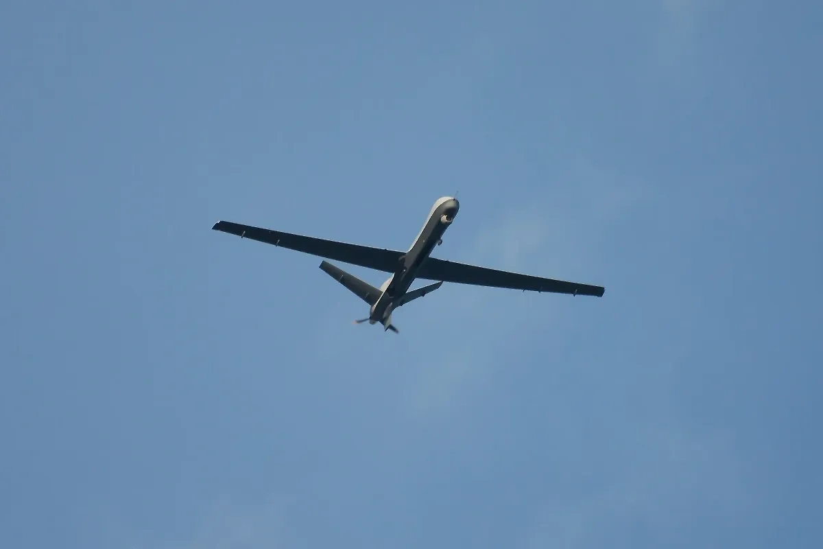 Обложка © Shutterstock / FOTODOM / Soos Jozsef