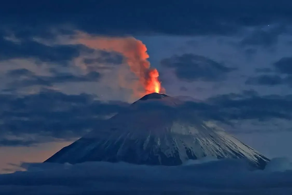 Обложка © Telegram / ИВиС ДВО РАН / Юрий Демянчук
