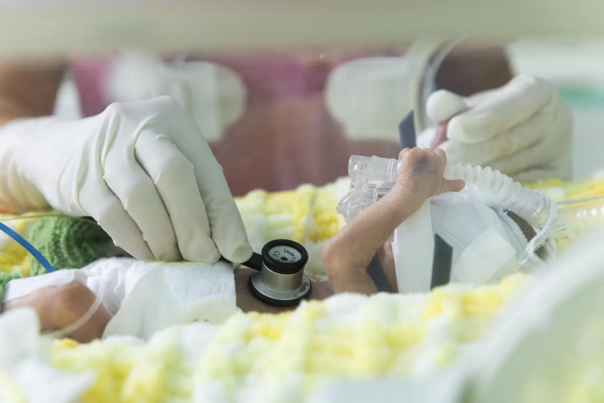 Обложка © Предоставлено Life.ru