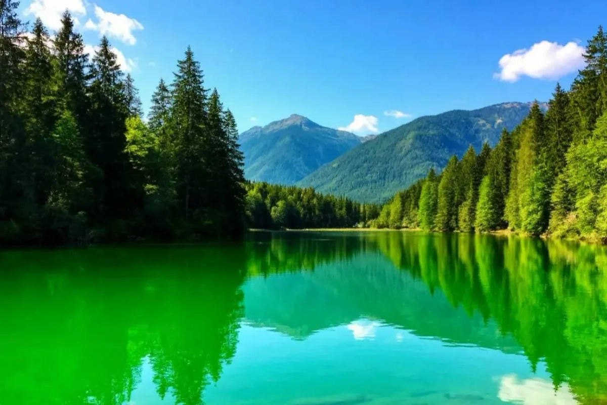 Обложка © Шедеврум / Life.ru