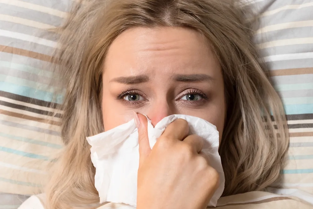 Обложка © Shutterstock / FOTODOM / DimaBerlin