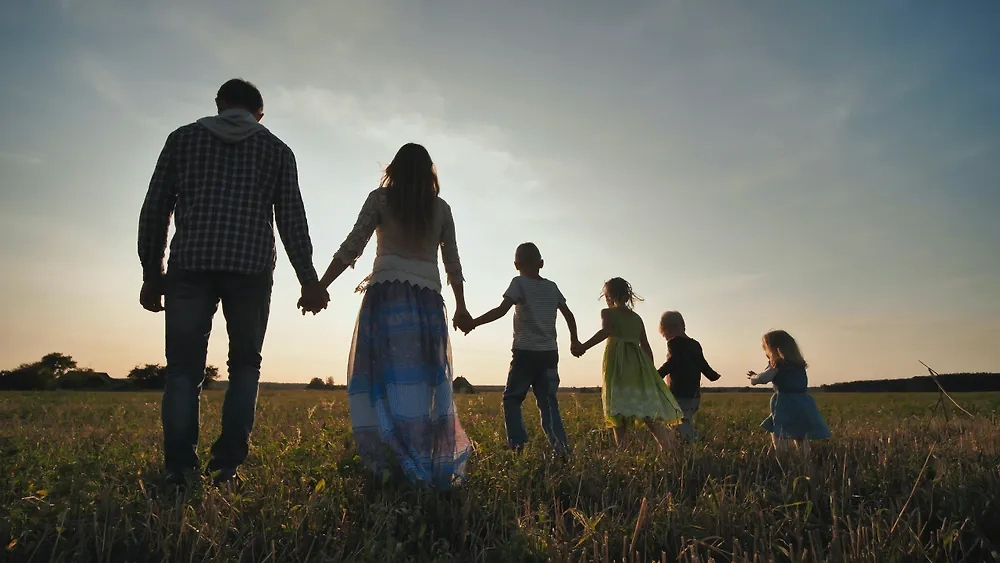 Обложка © Shutterstock / FOTODOM /WorldStockStudio