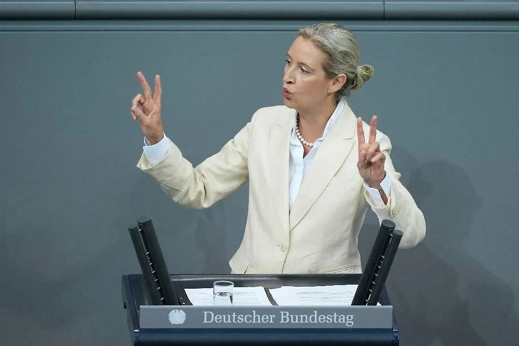 Сопредседатель партии «Альтернатива для Германии» (АдГ) Алис Вайдель. Обложка © AP/TASS