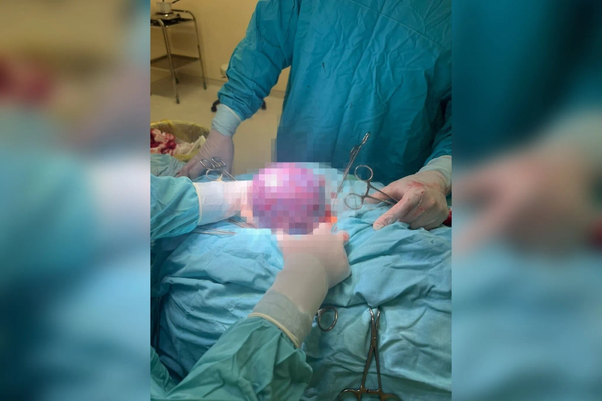 Фото © Пресс-служба Минздрава Московской области