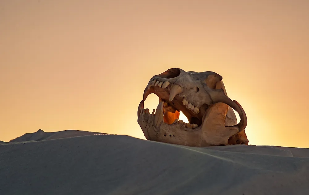 Самые страшные аномальные зоны России, где можно погибнуть. Фото © Shutterstock / FOTODOM / Vladimir_41