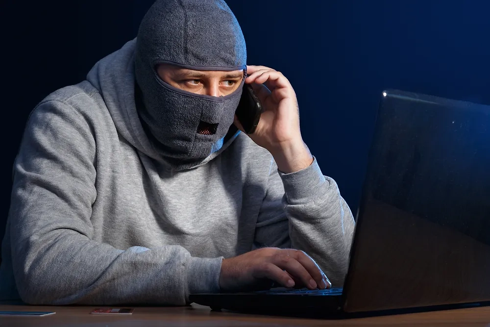 Обложка © Shutterstock / FOTODOM / Dejan Dundjerski