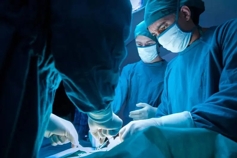 Обложка © Shutterstock / FOTODOM / Gumpanat