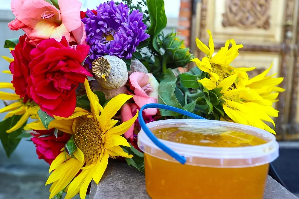 Обложка © Shutterstock / FOTODOM / Stepanych