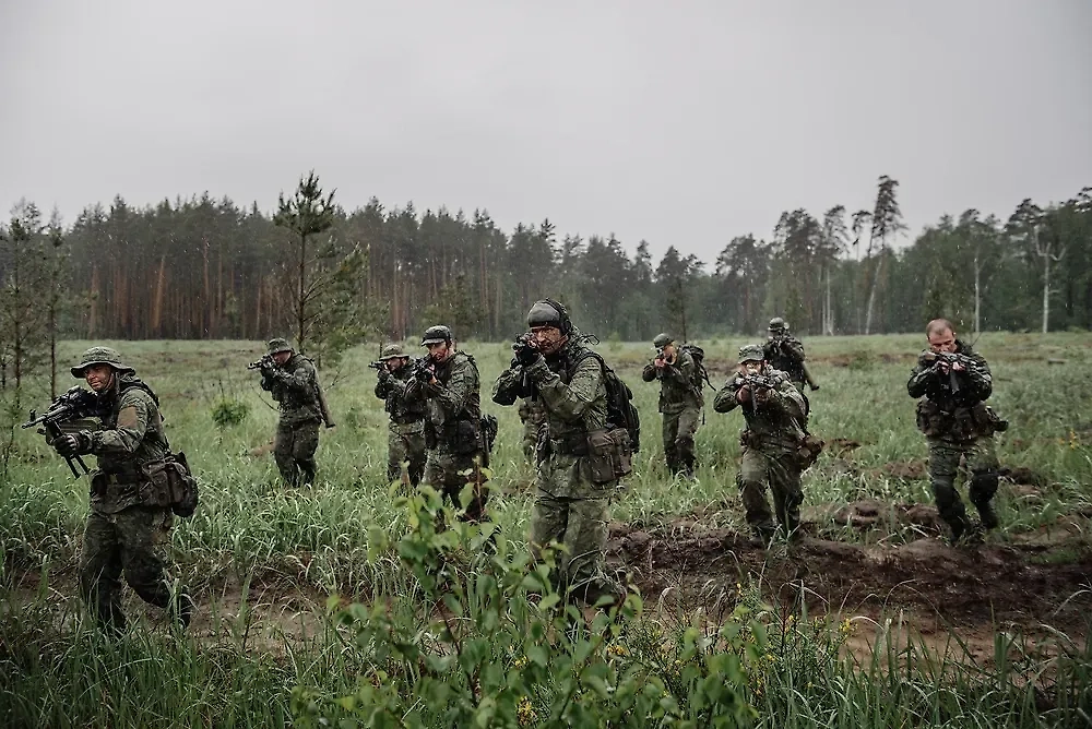 Обложка © Shutterstock / FOTODOM / PRESSLAB