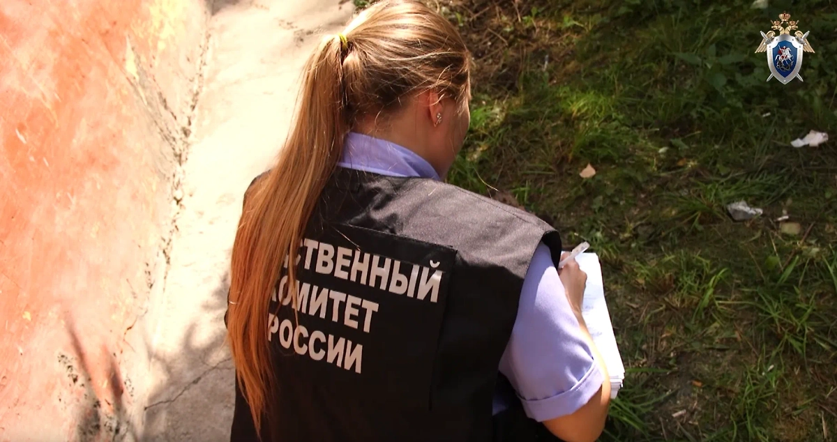 Обложка © СК РФ по Пермскому краю