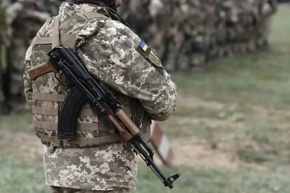 Обложка © Shutterstock / FOTODOM / Bumble Dee