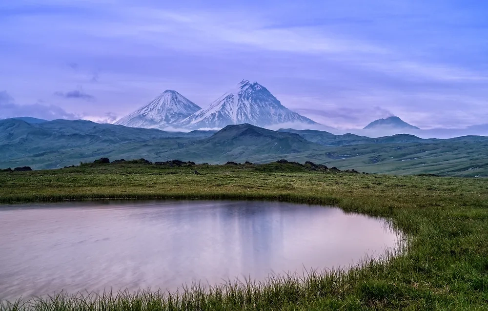 Обложка © Shutterstock / FOTODOM / LARISA DUKA