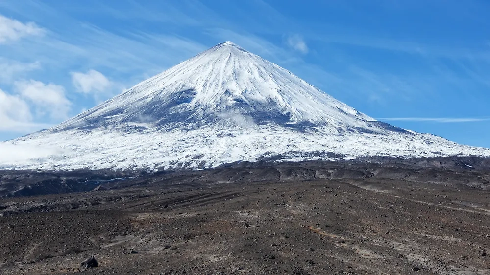 Обложка © Shutterstock / FOTODOM / GENNADY TEPLITSKIY