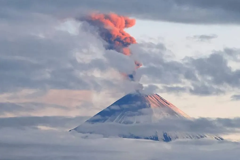 Обложка © Telegram / ИВиС ДВО РАН / Юрий Демянчук