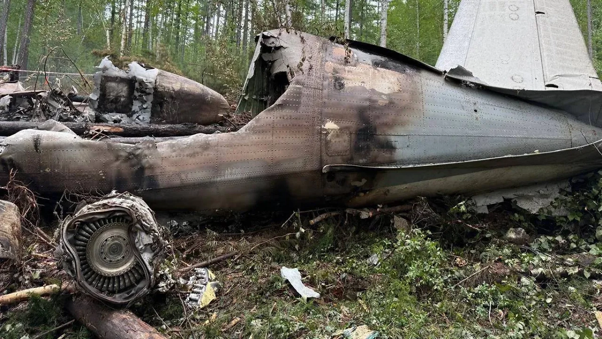 Место крушения. Обложка © Telegram / Дальневосточная транспортная прокуратура