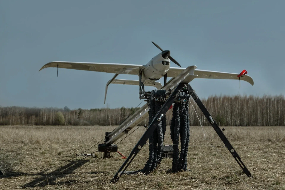 Обложка © Skyeton raibird