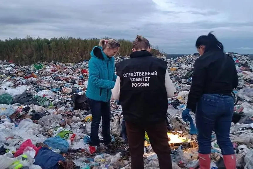 Обложка © Telegram / Следком Ленинградской области