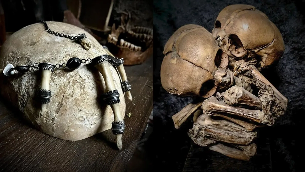 В Британии из-за пробелов в законе мужчина торгует останками людей в магазине. Обложка © Instagram (признан экстремистской организацией и запрещён на территории Российской Федерации)/ curiositiesfromthe5thcorner