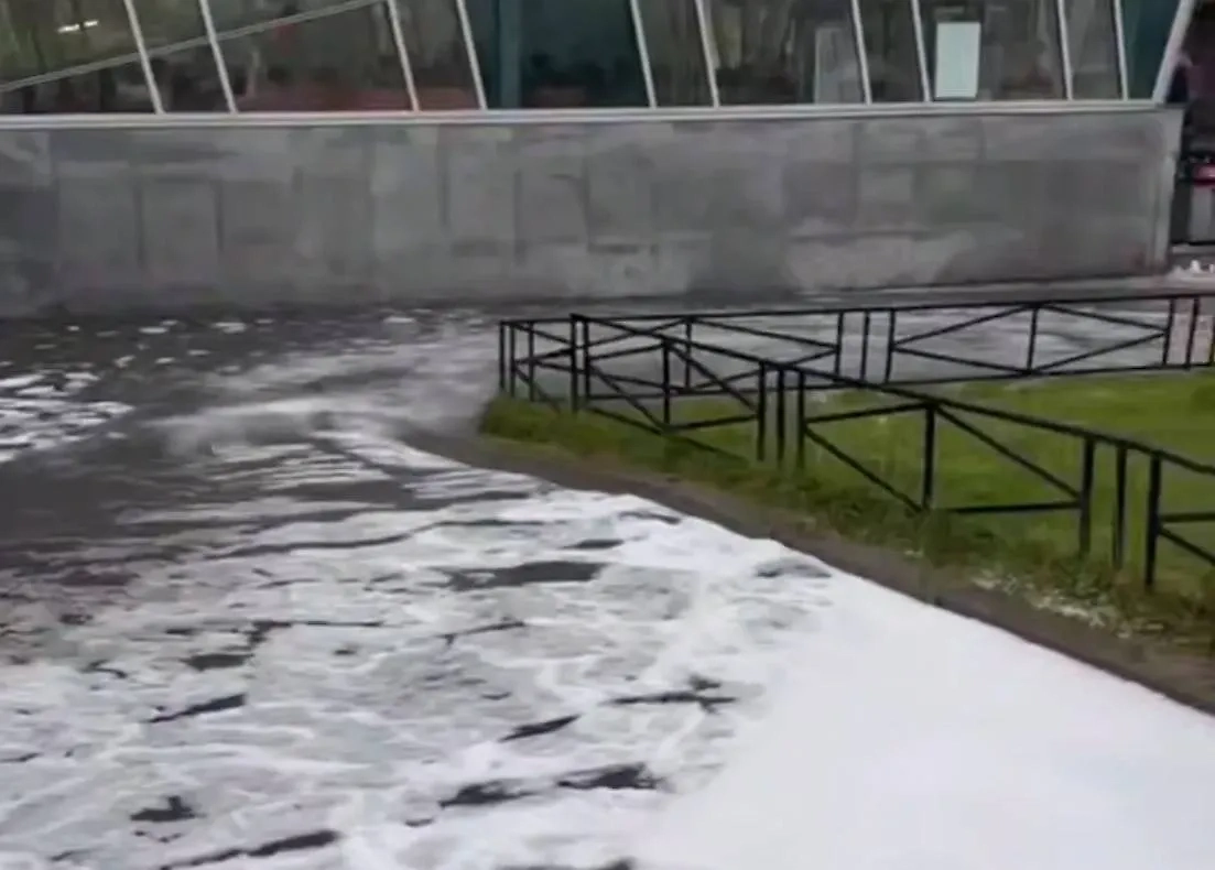 Обложка © Telegram / Питер Live