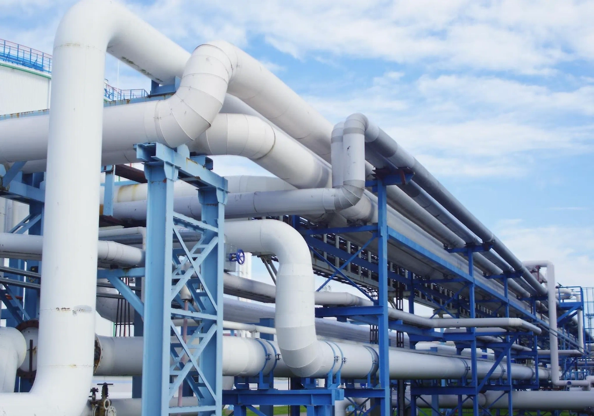 Обложка © freepik / wirestock