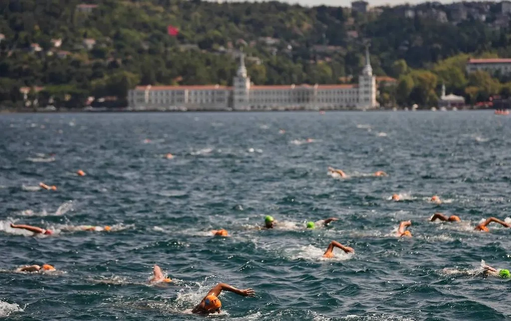 Обложка © AP Photo/Khalil Hamra