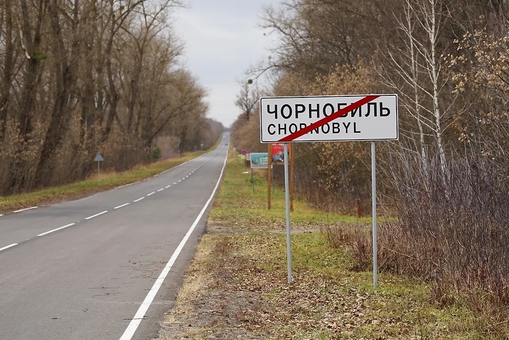 Обложка © Shutterstock / FOTODOM / Milan Sommer