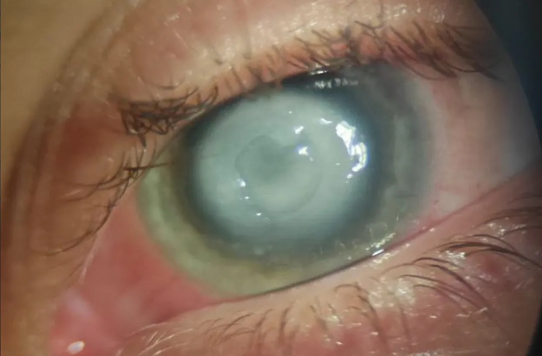 Фото © VK / Ивано-Матрёнинская детская клиническая больница