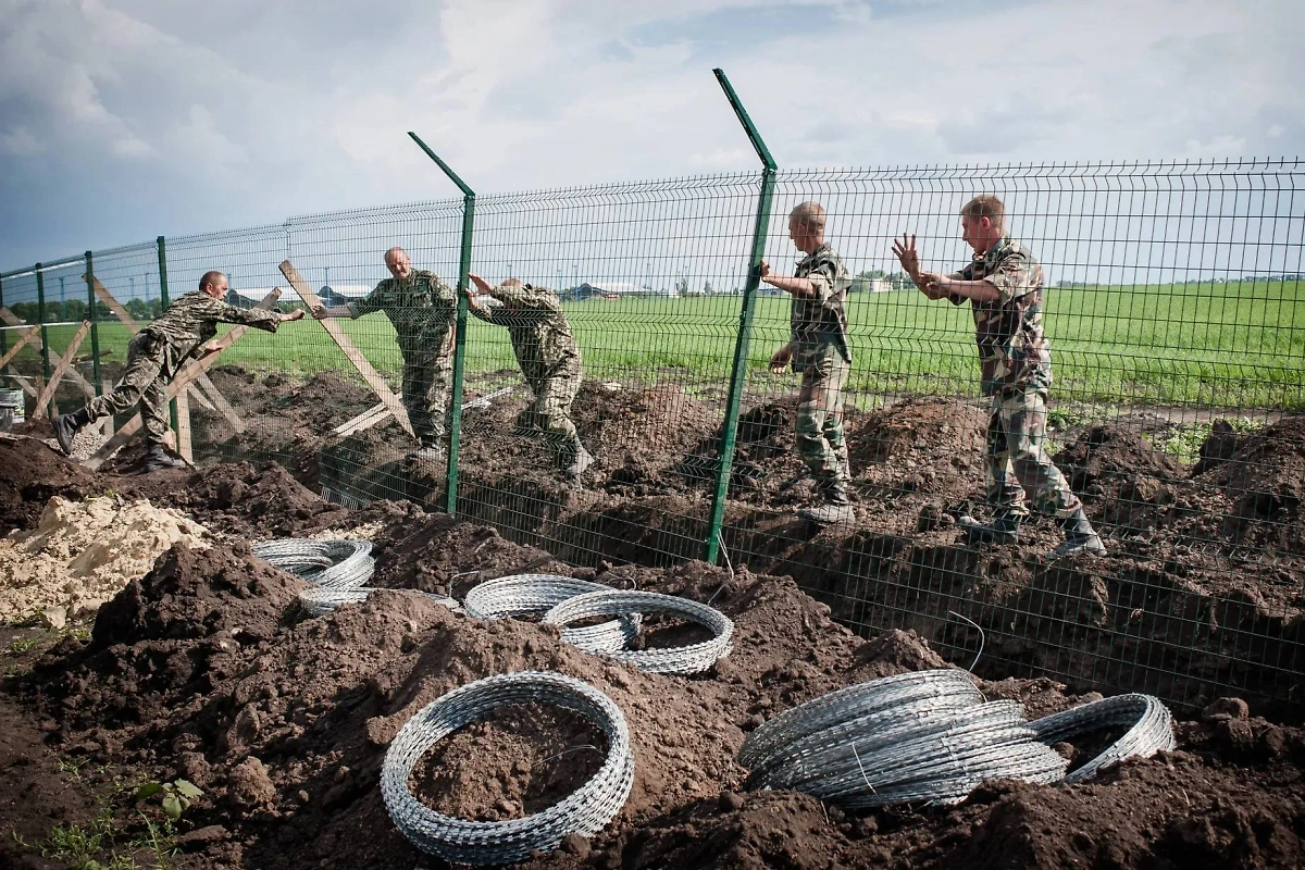 Обложка © Shutterstock / FOTODOM / E.Kryzhanivskyi