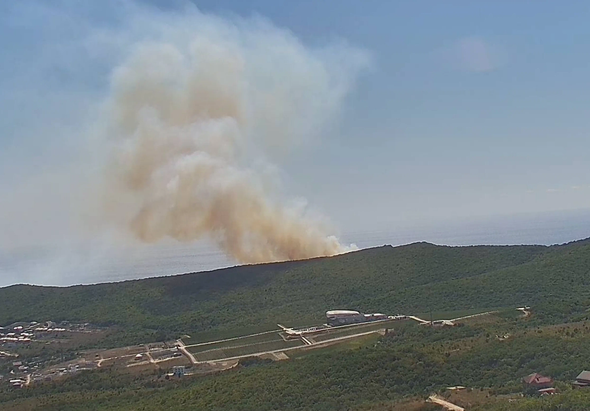 Обложка © Telegram / ГБУ КК «Краевой лесопожарный центр»