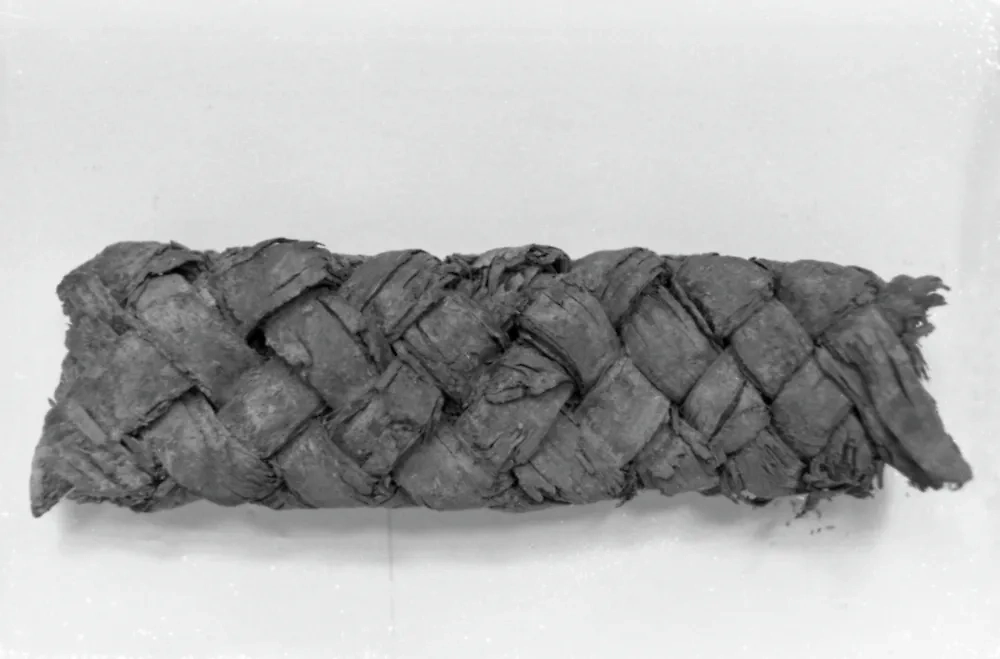 Береста может помочь при переломе, но не своими чудодейственными свойствами, а просто выступить в качестве фиксатора. Фото © РИА Новости / Юрий Простяков