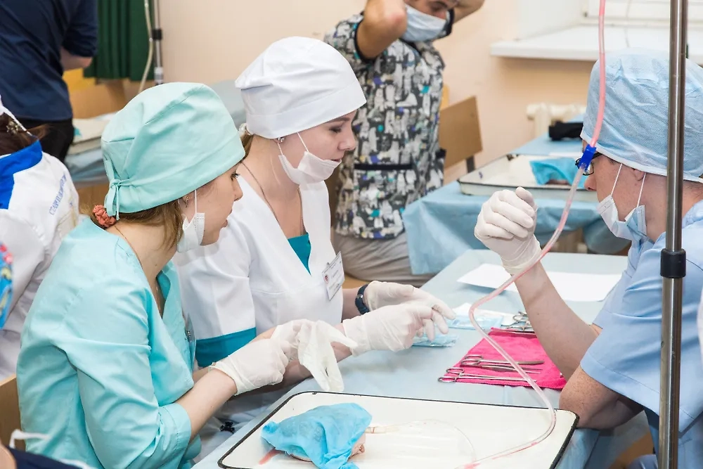 Обложка © Shutterstock / FOTODOM / xalien