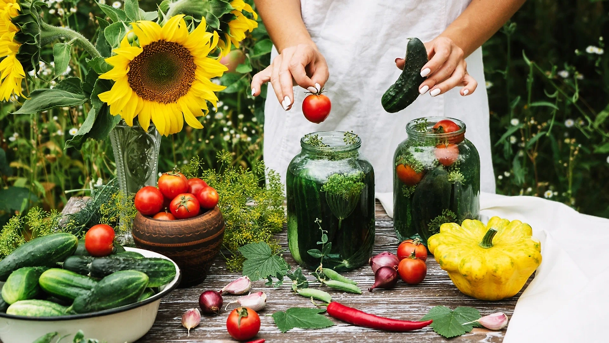Что купить в августе для консервации — обзор. Обложка © Shutterstock / FOTODOM / Demchyshyna Alina