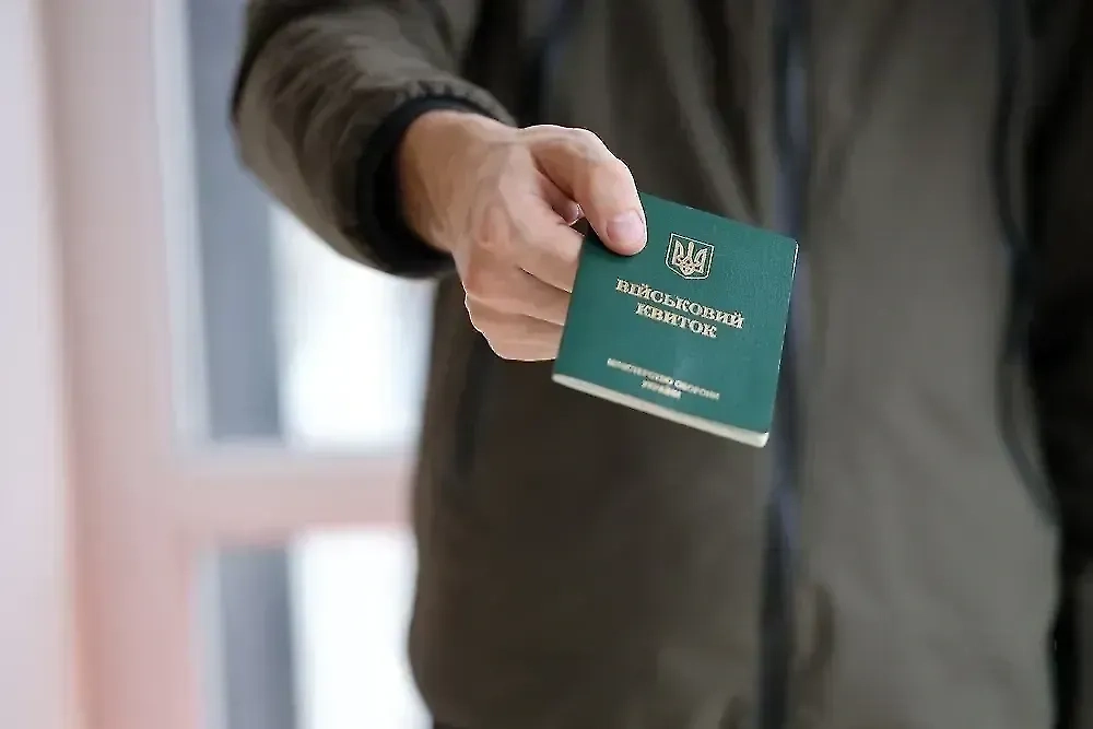 Обложка © Shutterstock / FOTODOM / Mehaniq